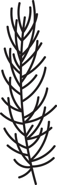 Ilustracja Wektora Gałęzi Drzewa Jodłowego — Wektor stockowy