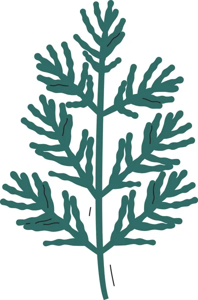 Ilustração Vetor Filial Árvore Conífera —  Vetores de Stock