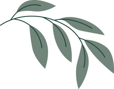 Şube yaprakları vektör çizim ile