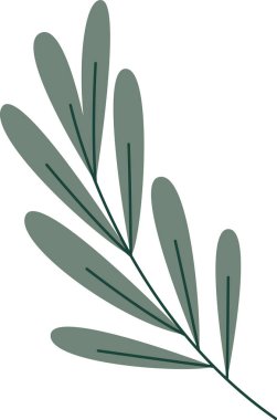 Zeytin Ağacı Dalları Vektör İllüstrasyonu