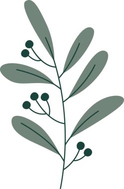 Böğürtlen Vektörü İllüstrasyonlu Şube