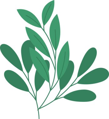 Çiçek Ağacı Dalları Vektör İllüstrasyonu