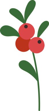 Böğürtlen Vektörü İllüstrasyonlu Şube