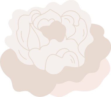 Pamuk Çiçeği Baş Vektör İllüstrasyonu