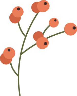 Böğürtlen Vektörü İllüstrasyonlu Şube