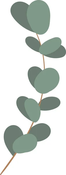 Eucalyptus Herbal Branch Vector Illustration — Stockový vektor