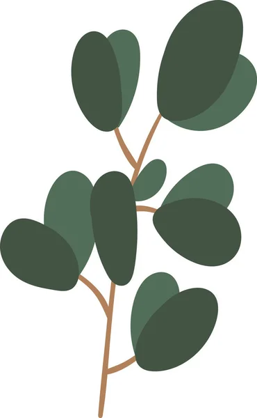 Illustration Vectorielle Branche Des Plantes Eucalyptus — Image vectorielle