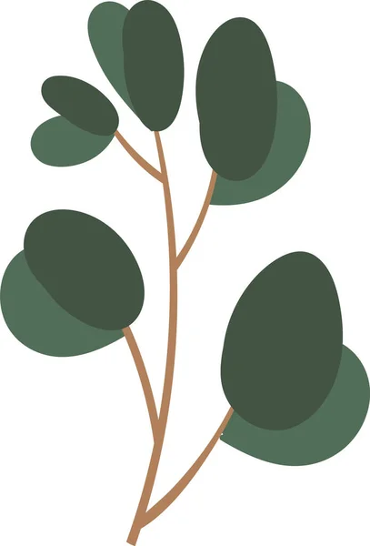Eucalyptus Herbal Branch Vector Illustration — Stock Vector
