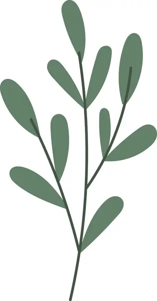Illustration Vectorielle Branche Feuilles Plantes — Image vectorielle
