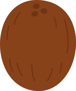 Hindistancevizi Fındık Vektörü İllüstrasyonu