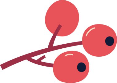 Böğürtlen Vektörü İllüstrasyonlu Şube