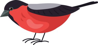 Boğa ispinozu Kuş Simgesi Vektör İllüstrasyonu