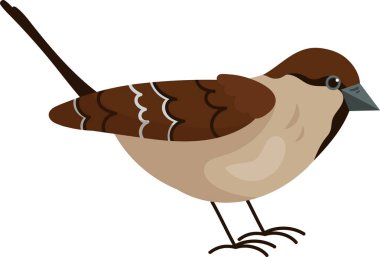 Sparrow Kuş simgesi Vektör İllüstrasyonu