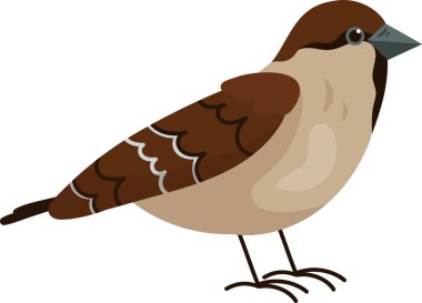 Sparrow Kuş simgesi Vektör İllüstrasyonu