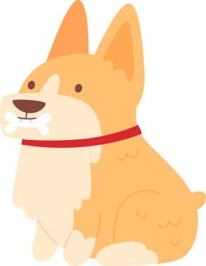 Kemik Vektörü Resimli Corgi Dog