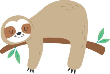 Tembel Hayvan Ağaç Vektörü Resimlerinde Uyuyor