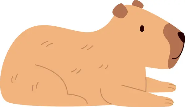 Capybara Hayvan Yalancı Vektör İllüstrasyonu