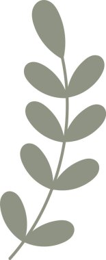 Yaprak Vektörü İllüstrasyonlu Çiçek Şubesi