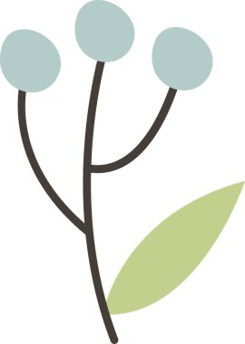 Böğürtlen Vektörü İllüstrasyonlu Şube