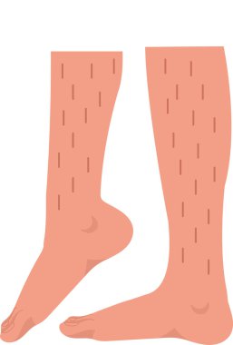 Kadın Kıllı Vücut Pozitif Bacak Vektörü İllüstrasyonu