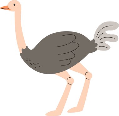 Devekuşu Kalıcı Vektör İllüstrasyonu