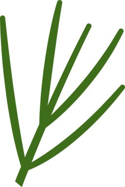 Çam Ağacı Şubesi Vektör İllüstrasyonu