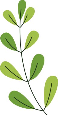 Ağaç Yaprakları Vektör İllüstrasyonu