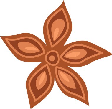 Anise Çiçek Baharatları Vektör İllüstrasyonu