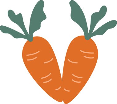 V Harfi Havuç Vektörü İllüstrasyonu