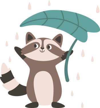 Yaprak Şemsiyeli Rakun Vektör İllüstrasyonu