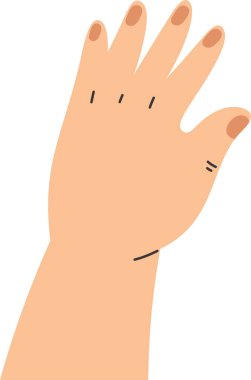 İnsan Eli Avuç içi Vektör İllüstrasyonu