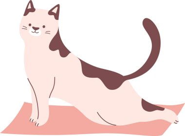 Kedi Yoga Yapıyor Vektör İllüstrasyonu