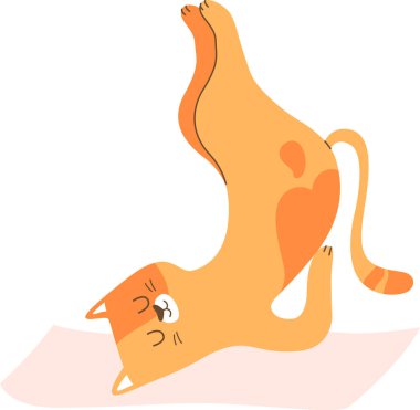 Kedi Yoga Yapıyor Vektör İllüstrasyonu