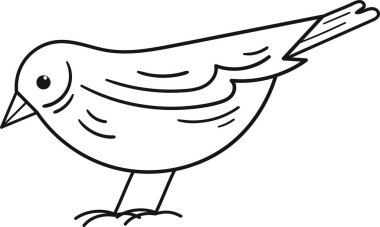 Kuş Bekleme Ana Hattı Vektör ResmiComment