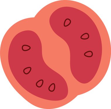 Domates Dilimi Sebze Vektörü İllüstrasyonu