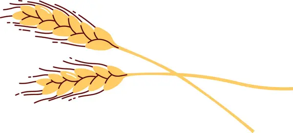 Illustration Vectorielle Des Oreilles Blé — Image vectorielle