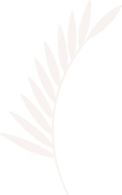 Tropikal Yaprak Siluet Vektör İllüstrasyonu