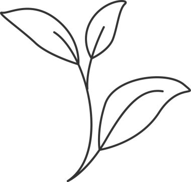 Çiçek Dalları Çizgisi Sanat Vektörü İllüstrasyonu