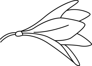 Tropikal Çiçek Özet Vektörü ResmiComment