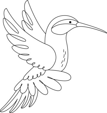 Sinekkuşu Ana Hattı Vektör İllüstrasyonu