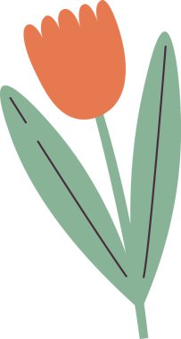 Kök Vektör Resimlerinde Lale Çiçeği