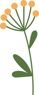 Böğürtlen Vektörü İllüstrasyonlu Şube