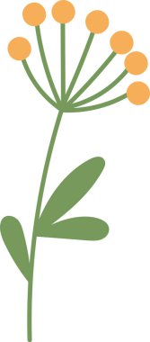 Böğürtlen Vektörü İllüstrasyonlu Şube