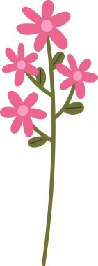 Bahar Çiçeği Bitki Vektörü İllüstrasyonu