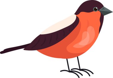 Kuş Hayvanı Duran Vektör İllüstrasyonu