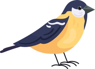 Kuş Hayvanı Duran Vektör İllüstrasyonu