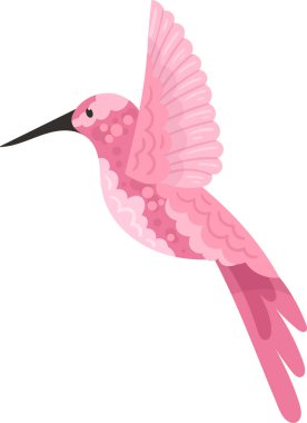 Sinekkuşu Tropikal Kuş Vektörü İllüstrasyonu