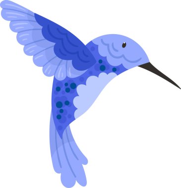 Sinekkuşu Tropikal Kuş Vektörü İllüstrasyonu