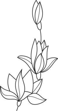 Çiçek Özeti Sanat Vektörü İllüstrasyonu