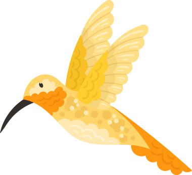 Sinekkuşu Tropikal Kuş Vektörü İllüstrasyonu